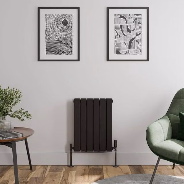 Temprazo Black Steel Wall Mounted Designer Radiator W: 60.0 cm, H: 45.5 cm