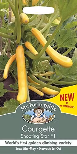 Mr Fothergill's Shooting Star F1 Courgette Vegetable Seeds