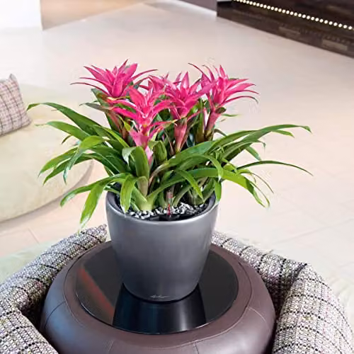 Lechuza Classico 35 LS Self Watering Plastic Planter in Charcoal Metallic Grey, D35 x H33 cm – 2