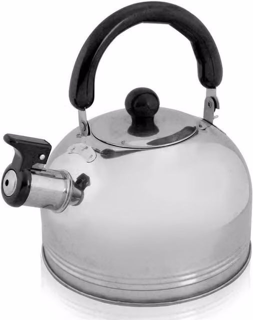 VOGREX Stainless Steel Whistling Kettle, 2 l, Silver – 1