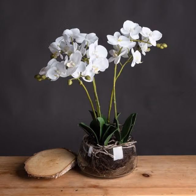 Love Lace White Orchid Artificial Flower in a Round Glass Pot