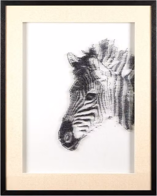 Orsina Modello Zebra Framed Wall Art in White and Black with Wood Frame