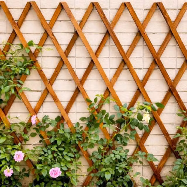 Marco Paul Brown Wooden Garden Trellis Support, Height: 182.88 cm