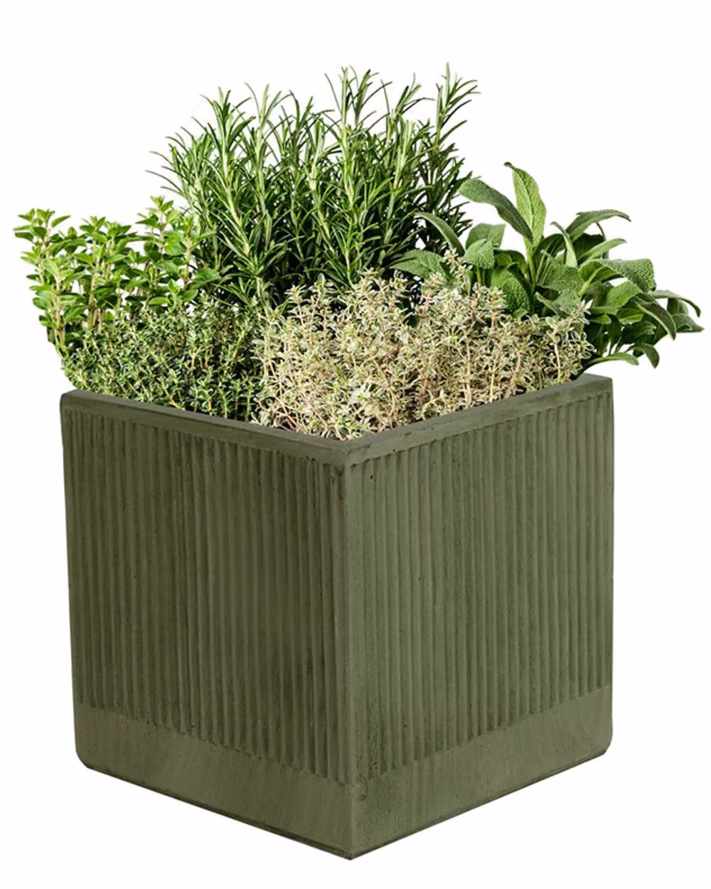 Dibor Small Sage Green Ribbed Fibre Clay Indoor Outdoor Plant Pot, H 25 cm x W 25 cm – 2