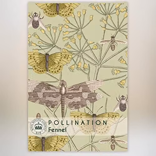 Thompson and Morgan Fennel Kew Pollination Collection Foeniculum vulgare Herb Seeds, Approx. 250 Seeds
