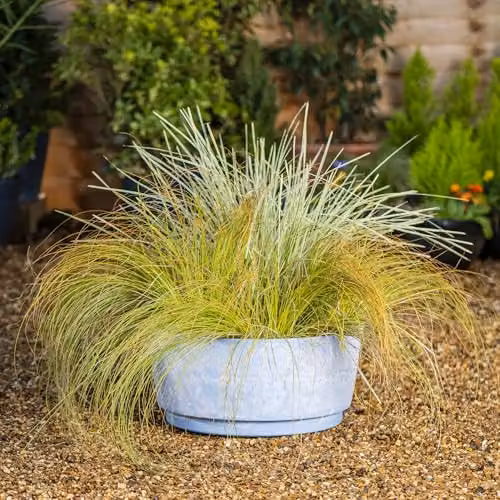Garden Gear Caesar Sky Blue Marble Effect Planter Bowl, Diameter: 46 cm – 2