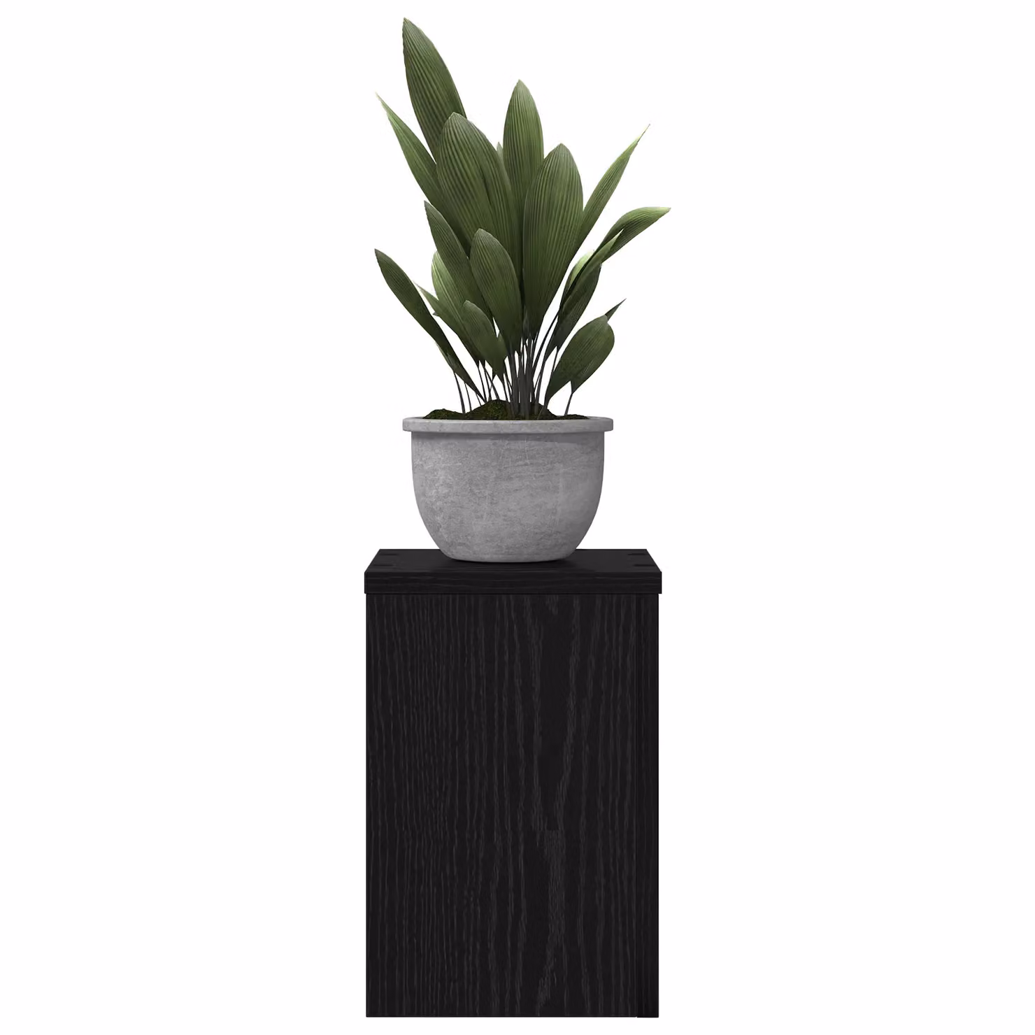 Berkfield Home Set of 2 Black Oak Plant Stands, W/D/H: 20 x 20 x 30 cm – 3