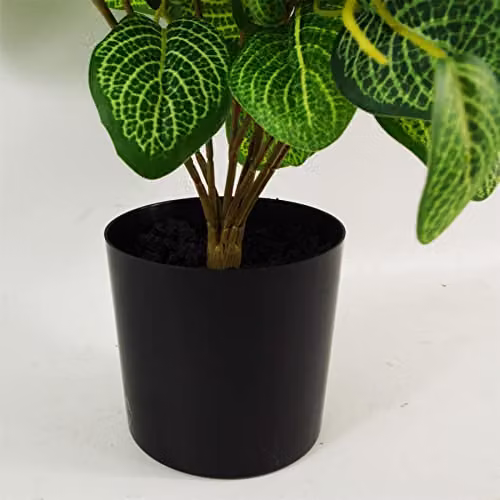 Botanik Potted Artificial Variegated Pothos Plant in Green and Black, Height: 40 cm – 5