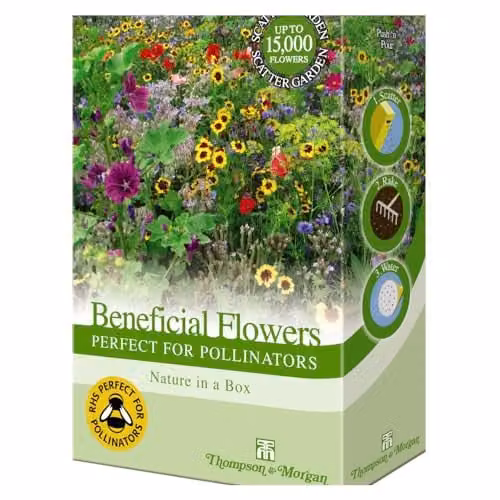 Thompson & Morgan Multicolour Flower Seed Mix for Pollinators, Covers 6-8sqm – 1