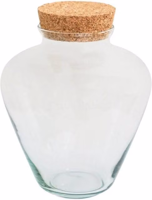 Ivyline Teardrop Glass Terrarium with Cork Lid, Clear, H: 22.5 cm, D: 18 cm