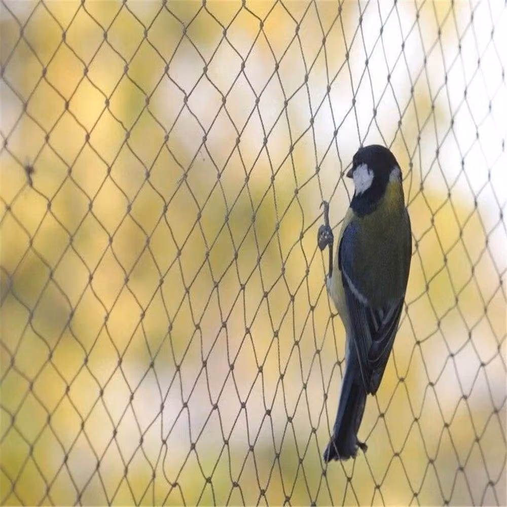 EONLION Black Anti Bird Netting for Gardens, 2m x 10m – 4
