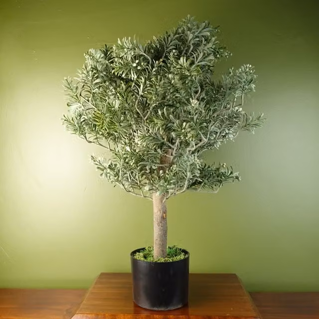 Leaf Artificial Artemisa Evergreen Shrub Potted Plant in Green, H 14 cm x W 12 cm x D 14 cm