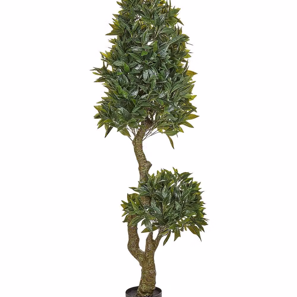 Wyld and Coco Laurel Artificial Potted Plant, Green in Black Pot, Height: 160 cm – 2
