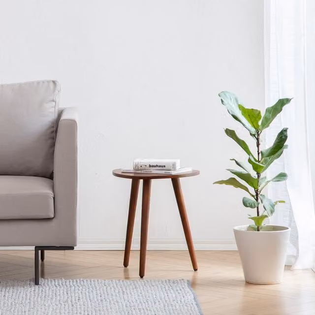 MH London Tora Round Mango Wood Side Table in Brown and Black