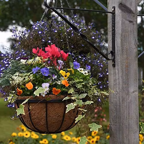 Thompson & Morgan Black Metal Hanging Basket Frames with Coconut Husk Liners, Diameter: 30 cm