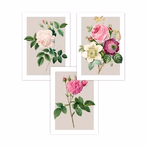 ARTZE Set of 3 Vintage Pink, White and Beige Floral Rose Paper Posters, W: 42 cm, H: 59.4 cm – 2
