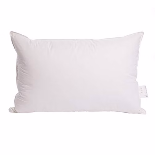 Surrey Down Home White Goose Feather and Down Soft Pillows, 2 Pack