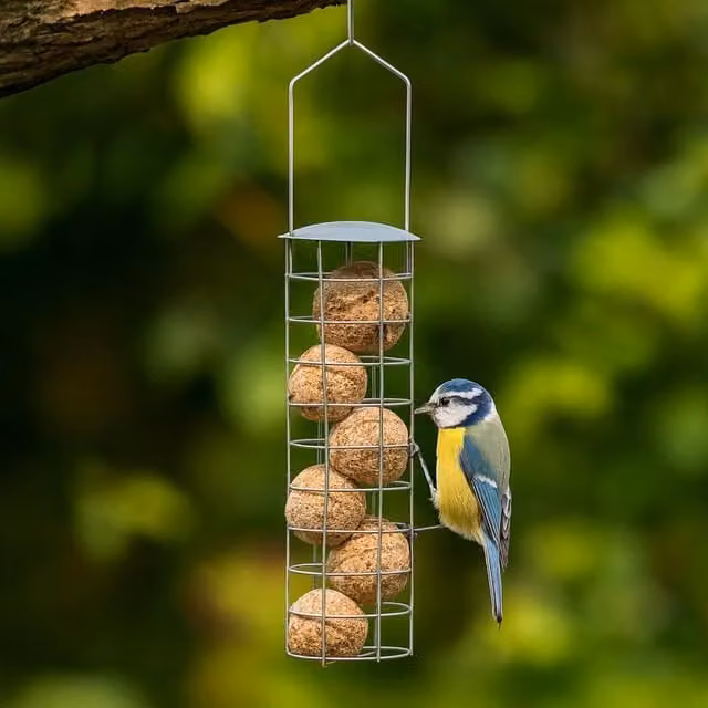 Garden Mile Heavy-Duty Metal Wild Bird Fat Ball Feeder in Silver