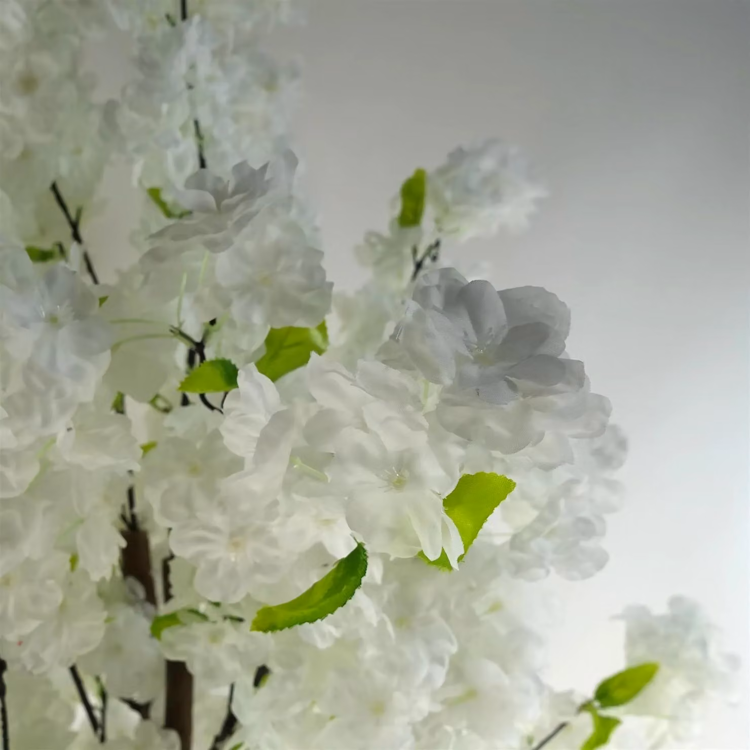 Leaf Design UK White Cherry Blossom Artificial Tree, Height: 150 cm – 2