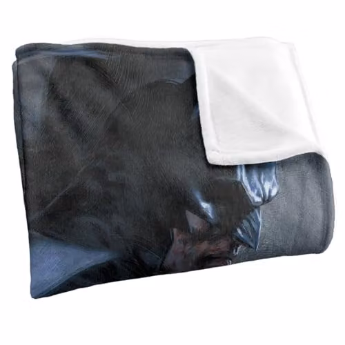 Warner Bros. Batman and Bats Super Soft Silky Touch Fleece Throw Blanket, Multicolour, W: 91 cm, D: 147 cm – 2