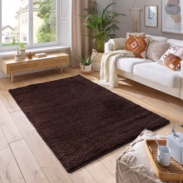 Smart Living Brown Shaggy Area Rug with 5cm Thick Pile, W/D/H: 60 x 110 x 5 cm