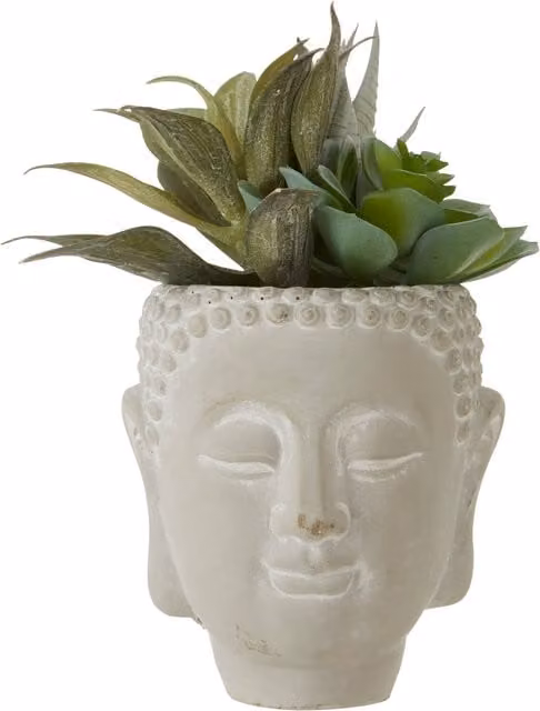Fiori White Ceramic Buddha Pot with Mixed Succulents
