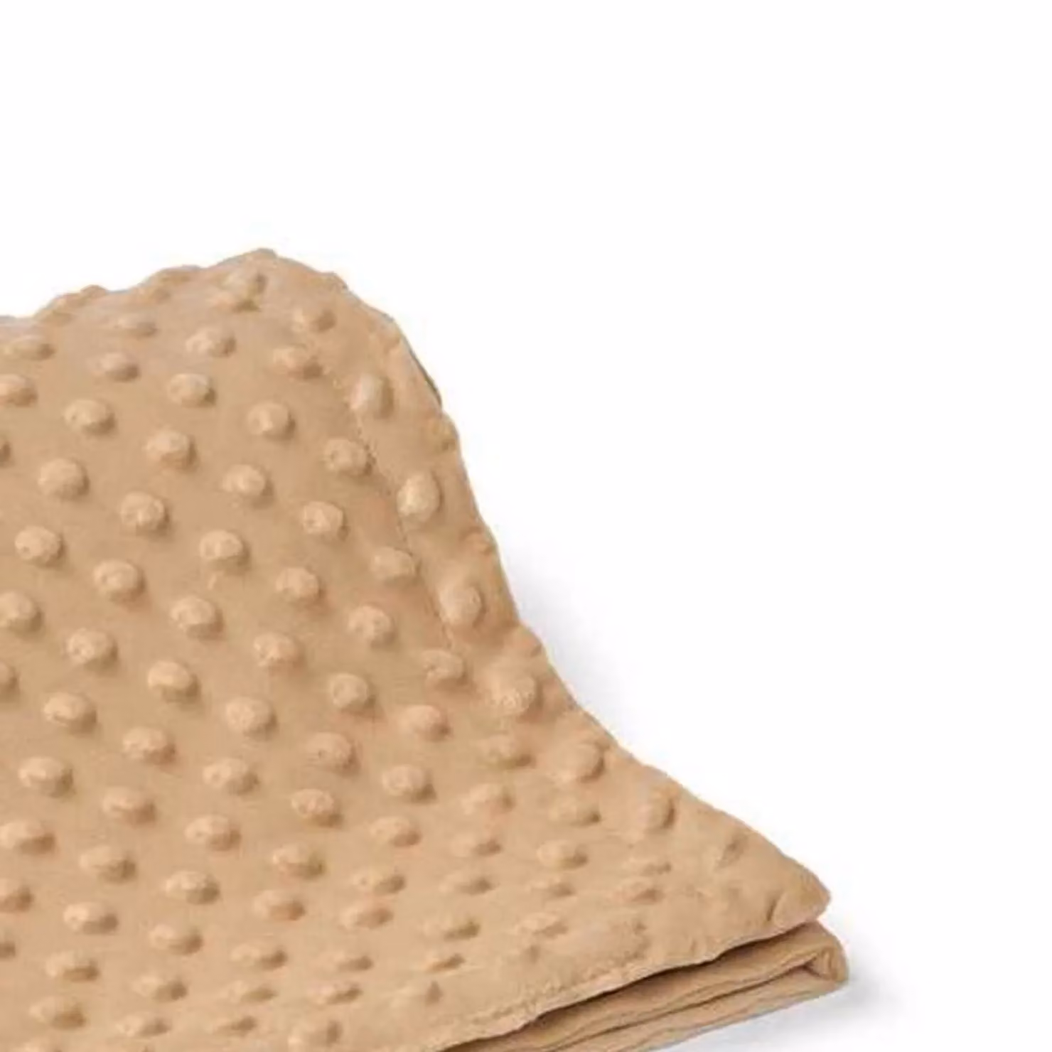 Brand Lab Minky Embossed Dotted Fleece Blanket in Brown/Beige – 2