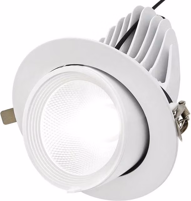 SPETLEK Adjustable LED Commercial Recessed Ceiling Downlight in White