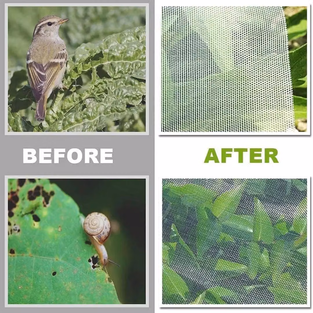 SPETLEK White Plastic Garden Netting for Vegetable Crops and Insect Protection, 10m – 5