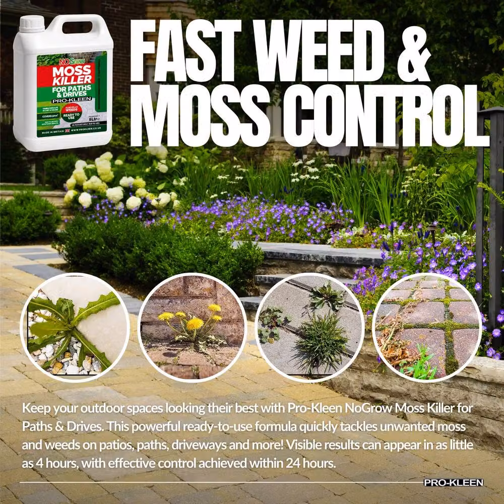 ProKleen NoGrow Moss Killer for Paths and Drives, 5 l – 3
