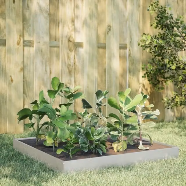 Berkfield Home Garden Stainless Steel Raised Bed in Silver, W: 100 cm, D: 100 cm, H: 18.5 cm