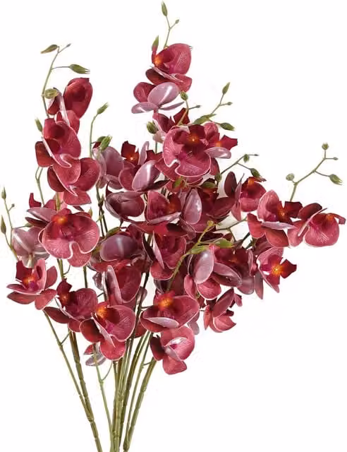 Pegdev Pack of 6 Pink and Cream Artificial Orchid Stems, 80cm Height