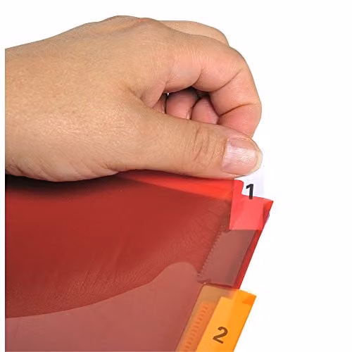 Exacompta Translucent Plastic A4 Dividers with 12 Blank Tabs – 4