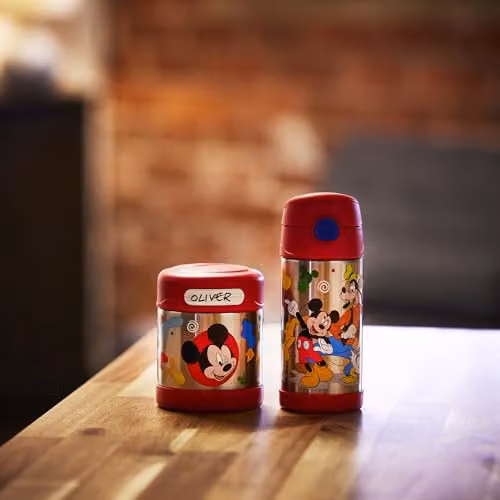 Thermos Disney Mickey & Friends FUNtainer Stainless Steel Food Flask, Multicolour, 290ml – 5