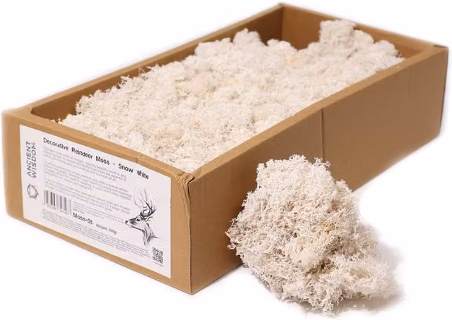 KDMK White Snow White Reindeer Moss Decorative Craft Material for Winter and Wedding Decor