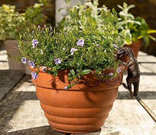 Jardinopia Velociraptor Decorative Hanging Plant Pot Ornament, Bronze, L10.5 x W4.5 x H5 cm – 4