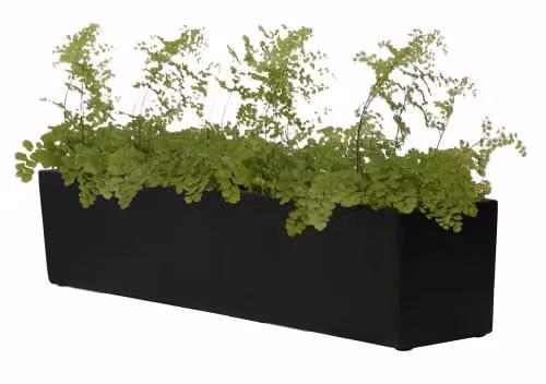 Primrose Fibreglass Herb Garden Indoor Outdoor Window Box Planter, Black, H: 20 cm, L: 76 cm – 1