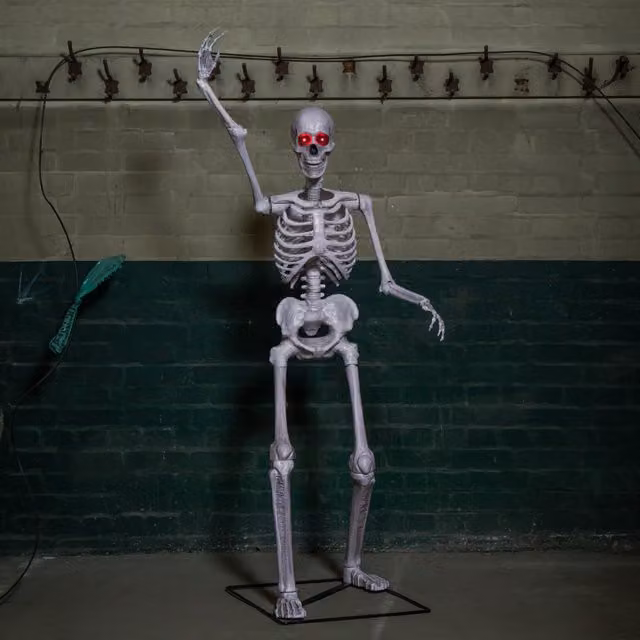 Samuel Alexander Grey Halloween Standing Skeleton with Posable Joints and Red LED Eyes, Height: 150 cm