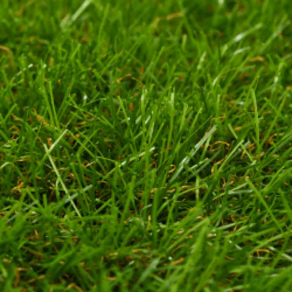 Berkfield Home Artificial Grass, Green, 1 x 15 m, 40 mm Pile Height – 2