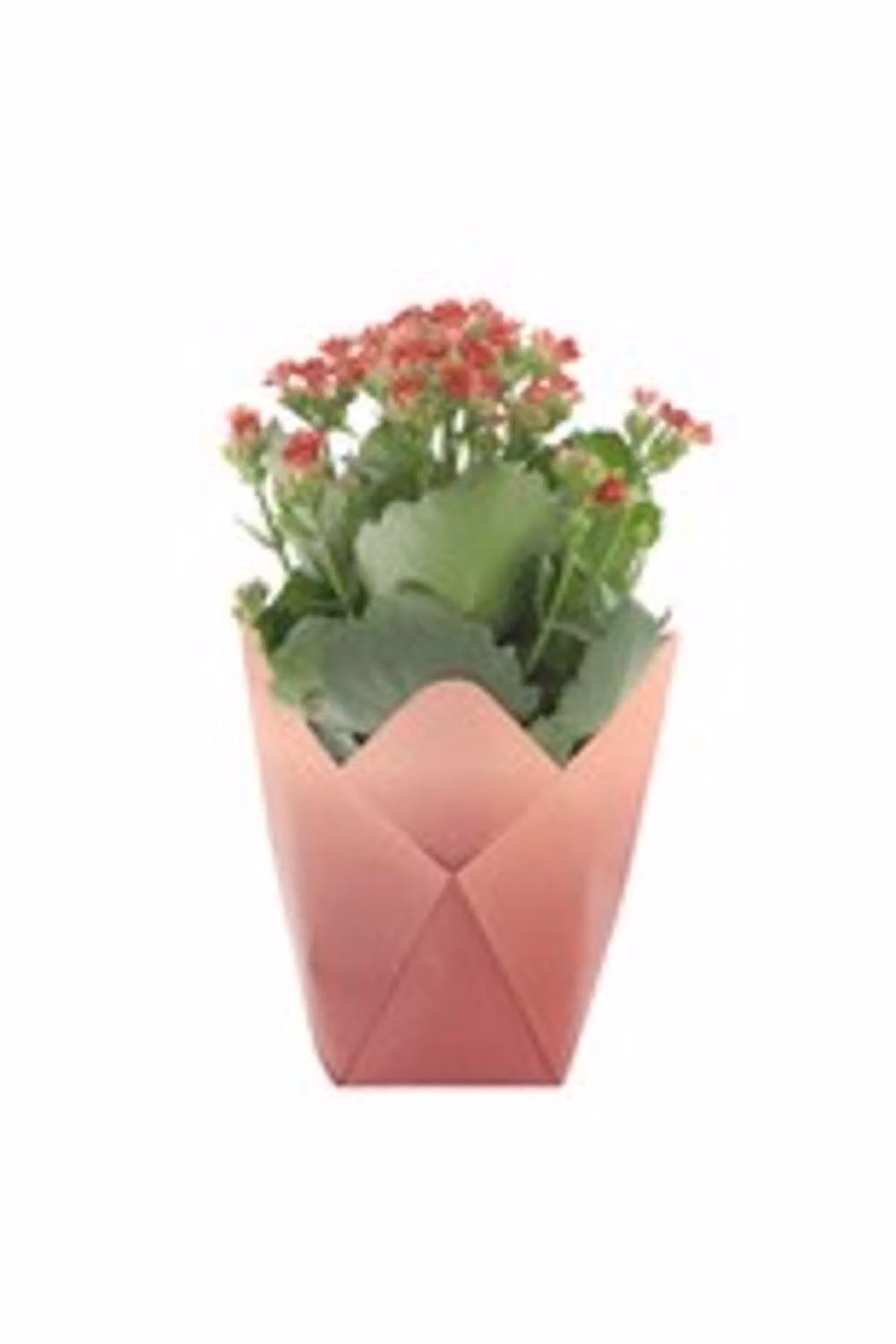 KDMD Pink Paper Tabletop Pot Cover – 2