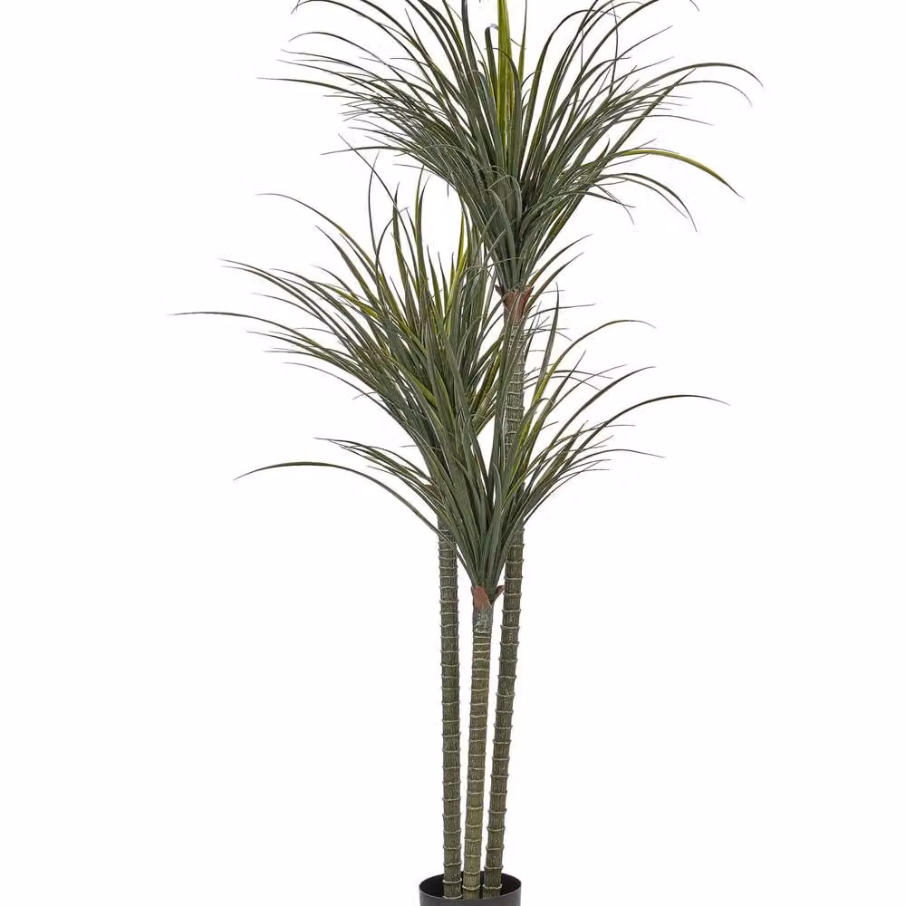 Wyld and Coco Luxe Dracaena Artificial Plant in Green Pot, Height: 198 cm – 2