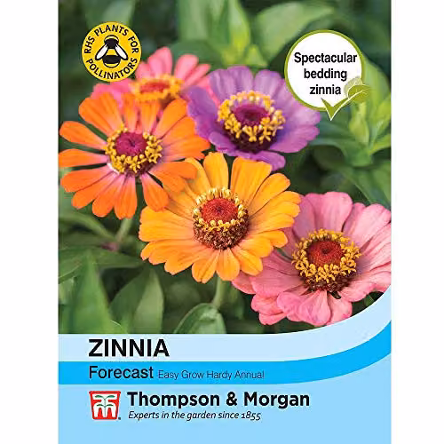 Thompson and Morgan Zinnia Forecast Elegans Ornamental Flower Seeds, 40 Seeds per Packet, Multicolour – 4