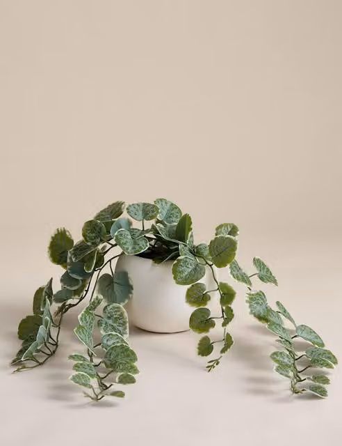 M&S Artificial Trailing Eucalyptus in a Green and White Ceramic Tabletop Pot