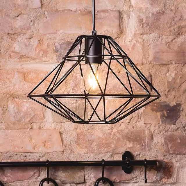 Wyld and Coco Black Geometric Cage Pendant Light – 1