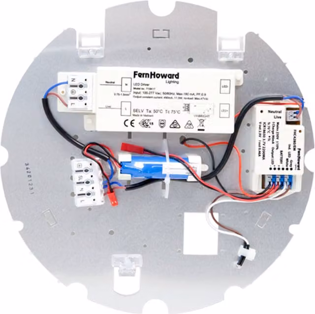 Fern Howard White LED Round Wall Light with Emergency Feature