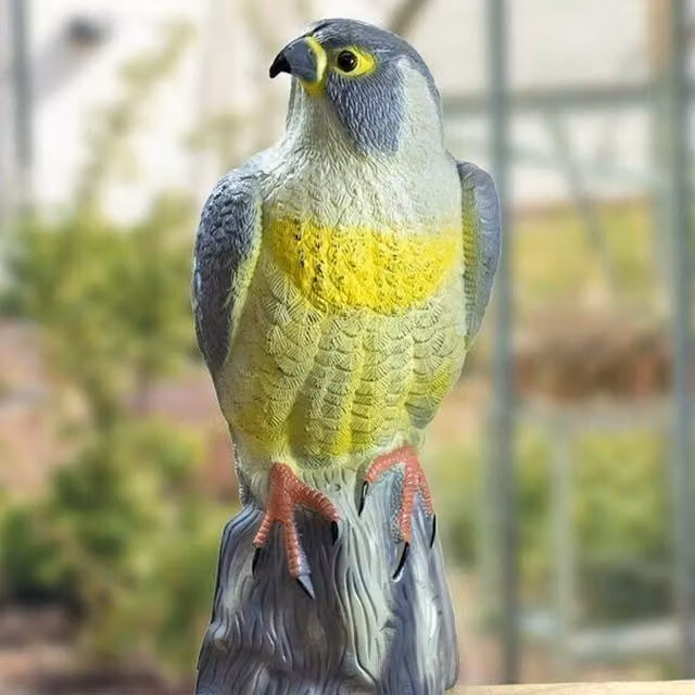 Garden Mile Grey and Multicolour Plastic Garden Bird Decoys, H: 40 cm, W: 17 cm