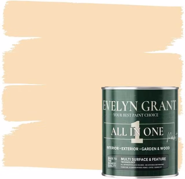 Evelyn Grant All-In-One Multi-Surface Indoor and Outdoor Matt Paint, Beige, 2.5L