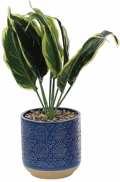 Primrose Artificial Green Calathea Plant in a Blue Ceramic Round Pot, Height: 29 cm