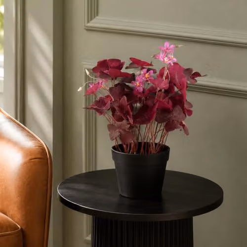 Botanik Artificial Potted Tabletop Office Plant in Purple and Black, H 30 cm x W 20 cm x D 20 cm – 2