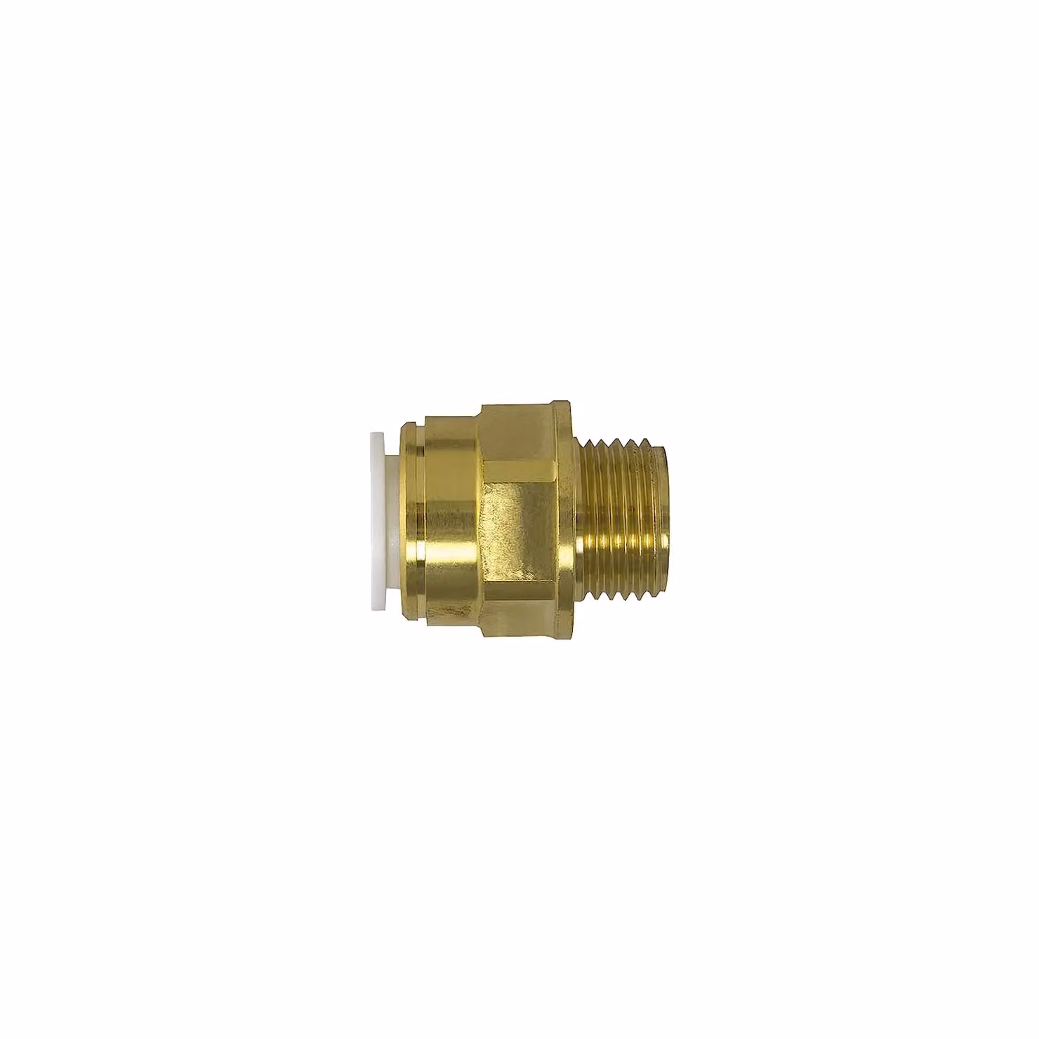 John Guest Brass Coupler 22mm x 3/4 inch Male BSP in Gold – 2
